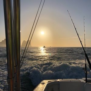 Meet your Posher, Sonia